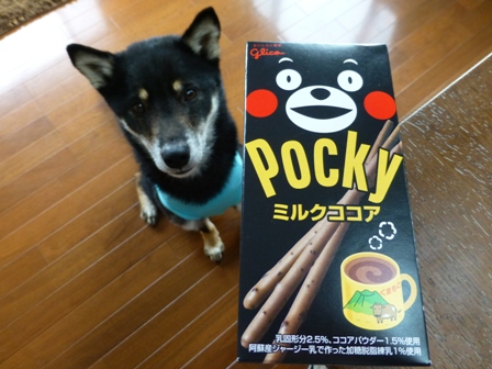 くまもんポッキー3