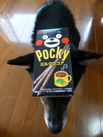くまもんポッキー4