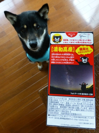 くまもんポッキー6