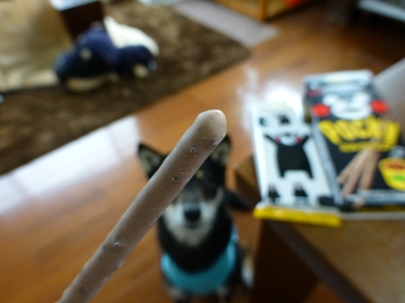 くまもんポッキー10