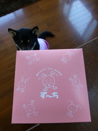 ずーち16