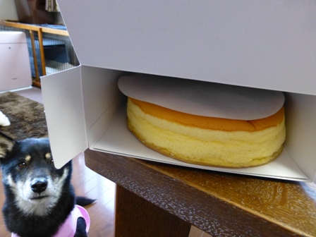 ずーち17