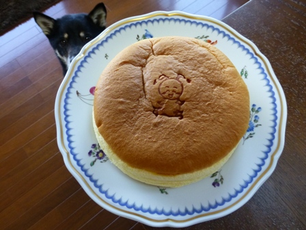 ずーち18