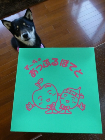 ずーち24