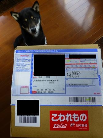 安冨白土瓦かわらやの瓦1