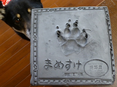 安冨白土瓦かわらやの瓦5
