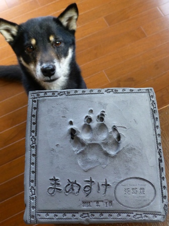 安冨白土瓦かわらやの瓦6
