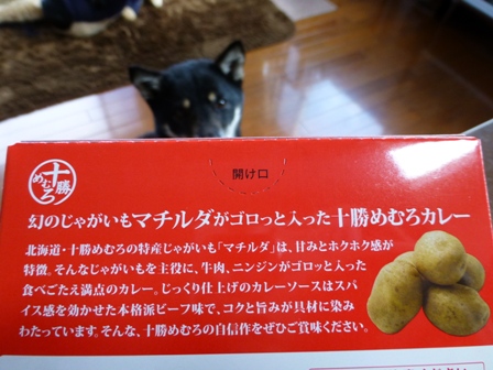 マチルダカレー3