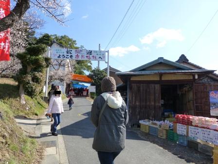 南部梅園15
