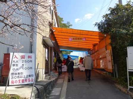 南部梅園17