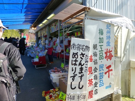 南部梅園19