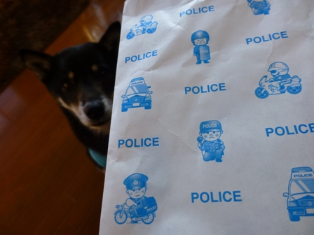 警察キティ2
