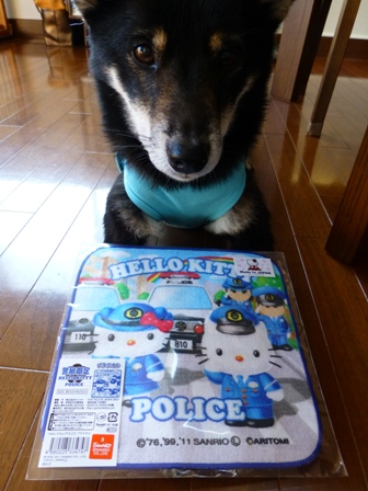 警察キティ8