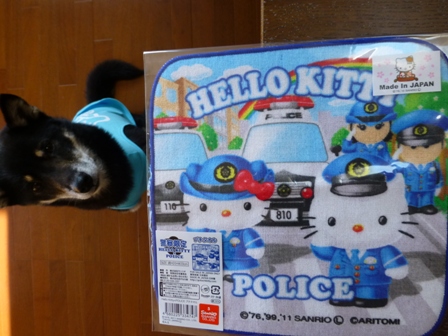 警察キティ9