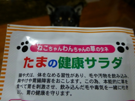 たまの健康サラダ2
