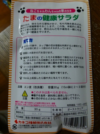 たまの健康サラダ3