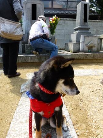 善通寺墓参り4