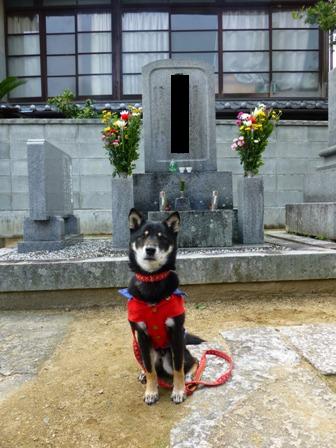 善通寺墓参り7
