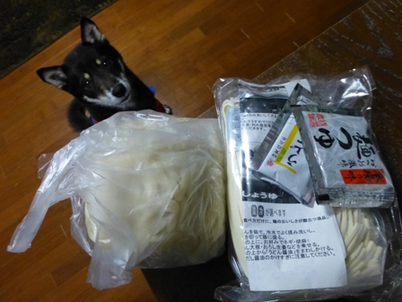 スピード違反12