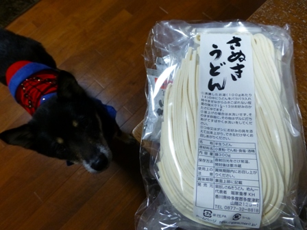 スピード違反14