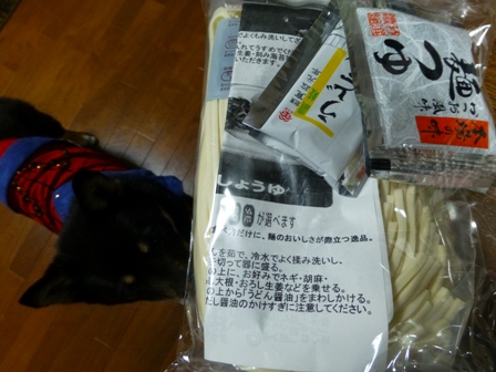 スピード違反15