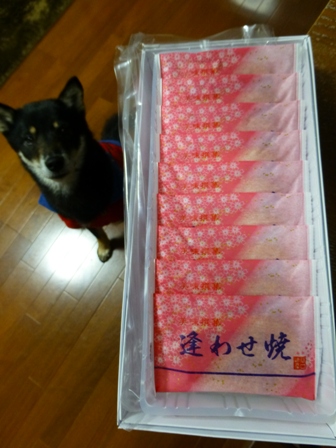 スピード違反17