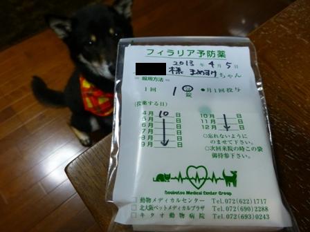 動物病院(04052013)10