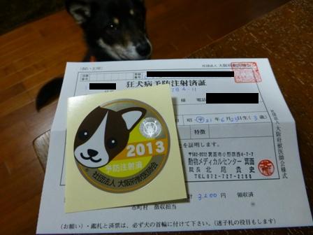 動物病院(04052013)11