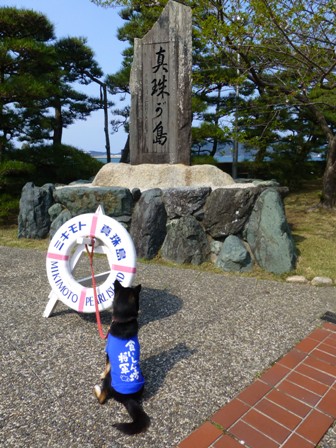 ミキモト真珠島4