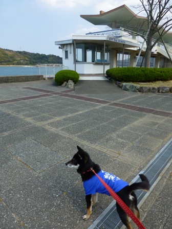ミキモト真珠島6
