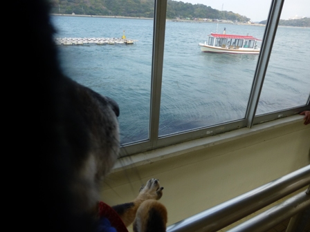 ミキモト真珠島9