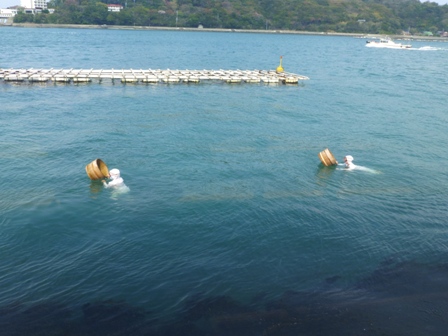 ミキモト真珠島12