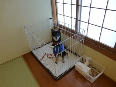 ホテル鳥羽小涌園2