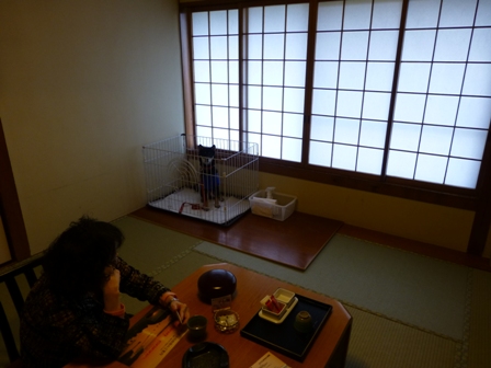 ホテル鳥羽小涌園3