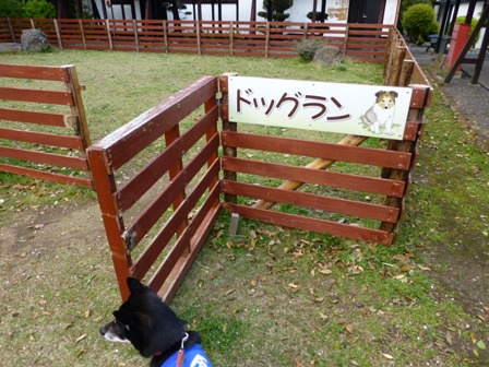 ホテル鳥羽小涌園15