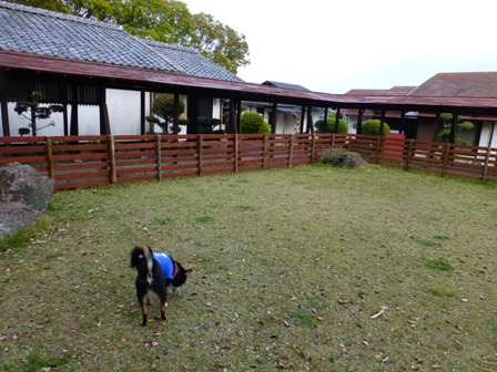 ホテル鳥羽小涌園16