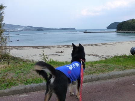 ホテル鳥羽小涌園22