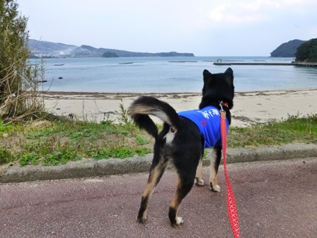 ホテル鳥羽小涌園23