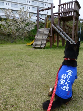 ホテル鳥羽小涌園24