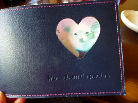 DOGcafe あぽろ10
