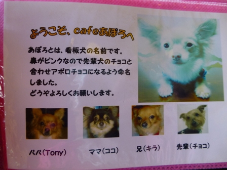 DOGcafe あぽろ11
