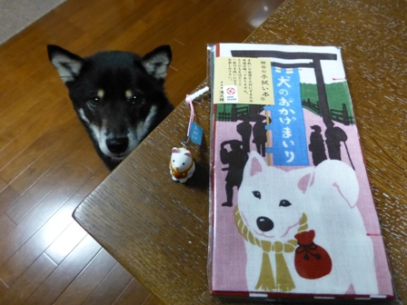お土産スーサン4