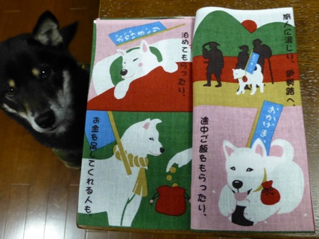 お土産スーサン9