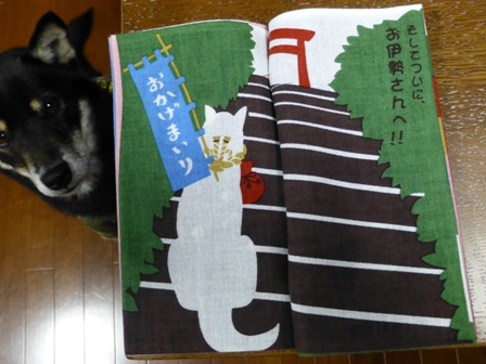 お土産スーサン10