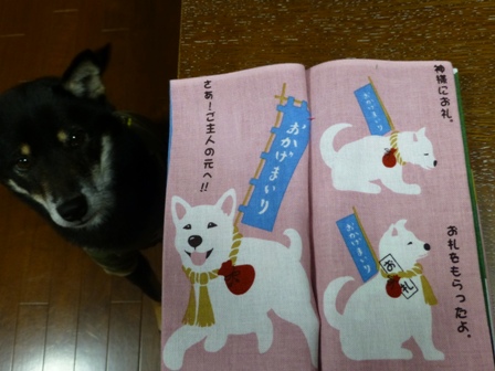 お土産スーサン11