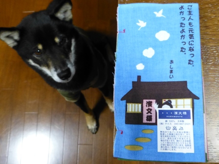 お土産スーサン12