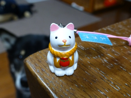 お土産スーサン15