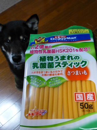 お土産スーサン16