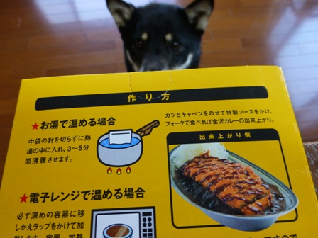 ゴーゴーカレー4