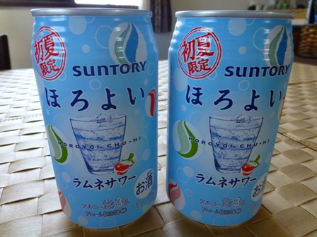 ゴーゴーカレー10
